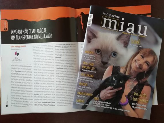 Novo artigo para a Miau Magazine